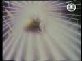 evanescence and saint seiya medley