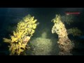 Croatia Video