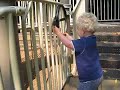 Ezra, Luna: playground, steps