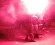 macrobotellon