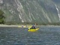 Milford Sound- New Zealand