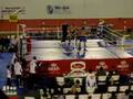 kingboxing 3 florin