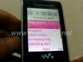 Sony Ericsson W595 Fully Unlocked (www.hi-mobile.net)