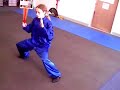 kung fu fan form kung fu fan form