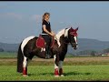 Abschied von Brenda
