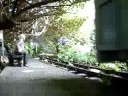 Lazy Monday afternoon at the SLR, Midge district