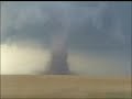 Taken By Storm!