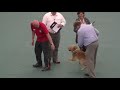 Se video