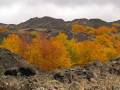 paysages volcanique et auvergnat