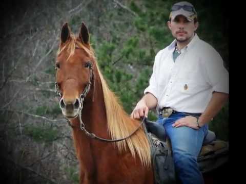 runners and riders