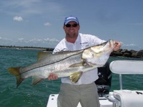 Pig Snook
