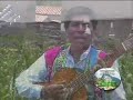 Tinta Ponchito. Los Amaru de Tinta