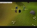 runescape crazy