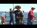 Fishing Alliance \"The Real Barricuda of Orange County\" Fishing Alliance \"The Real Barricuda of Orange County\"
