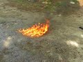 Molotov Cocktail