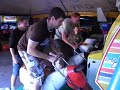 Wadek 2008