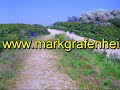 Markgrafenheide