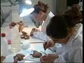 Istituto per l'Arte e il Restauro - Palazzo Spinelli