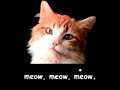 Meow Mix song