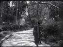 The Kid Trailer (1921) The Kid Trailer (1921)