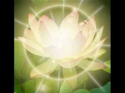 how to meditate properly at home for beginners