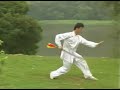 xing yi chuan dao form
