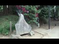 滝の城 滝の城