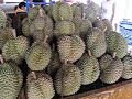Thailand I Thailand I
