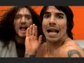 Cant Stop (RHCP)