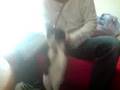 Soulja CaT !