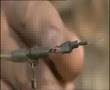 Como usar el clip de seguridad (Using Lead Clip by Korda)