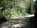 videos de Yamaha blaster 200 vs kawasaky 125 .winer Edu