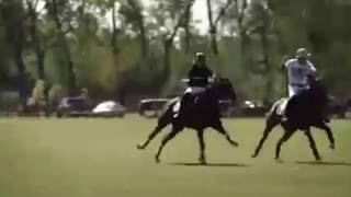 ¿Qué es la Hechura de un caballo de polo?