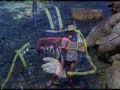 Pesca subacquea/01 - 1972 1988