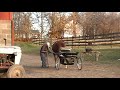 Hopefoal The Freeze Being Unhitched from Cart
