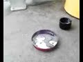 H2SO4 (sufuric acid) + KMnO4 (potassium permanganate) H2SO4 (sufuric acid) + KMnO4 (potassium permanganate)
