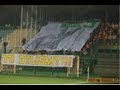 Górnik Łęczna - Korona Kielce (14.11.08r.) oprawa