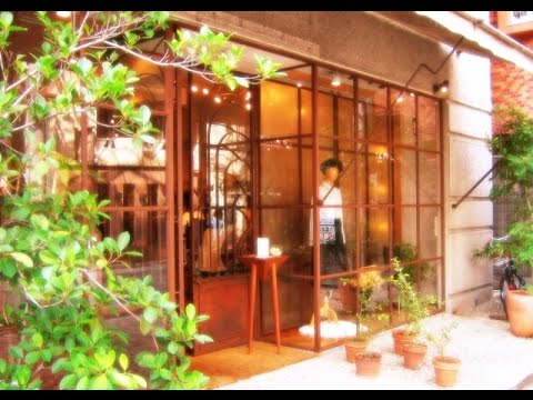 動画