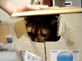 ティガー君の高速ティガパンチ＾＾ +°。°+ Λ＿Λ★ Λ＿Λ★ Λ＿Λ★°+°。°+ °。 (＾▽＾) (＾▽＾) (＾▽＾) ━━━━━━U ━ U━━━━━━U ━ U━━━━━━U ━ U━━━ profile.ameba.jp あ(￣○￣)り(￣◇￣)が(￣△￣)と(￣0￣)う※貴方はメーカー様のリペアで満足ですか？ plaza.rakuten.co.jp ☆CD&DVD&デジタル製品楽器家☆エクサイト335amazon支家astore.amazon.co.jp ★楽器家☆エクサイト☆335修理全国受付中★ plaza.rakuten.co.jp buyma☆日本中・世界中の人がバイヤーとなって商品をセレクトし、あなたにお届けします。 www.buyma.com ※修理依頼＆注文は24時間365日受付中じゃ！ www.formzu.net +°。°+ Λ＿Λ★ Λ＿Λ★ Λ＿Λ★°+°。°+ °。 (＾▽＾) (＾▽＾) (＾▽＾) ━━━━━━U ━ U━━━━━━U ━ U━━━━━━U ━ U━━━