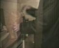 clip du groupe duberman r�alis� par nico onoco et william nijni.
avec nijni, shakerman jah+, martial cassard, jackman, heavy sa�d, franky, mat...