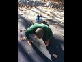 Bar-barian Push-ups By Zakaveli/zef...