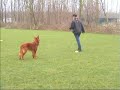 G&G3 oefeningen deel 1