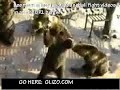 Super wild... Begging Bears Super wild... Begging Bears