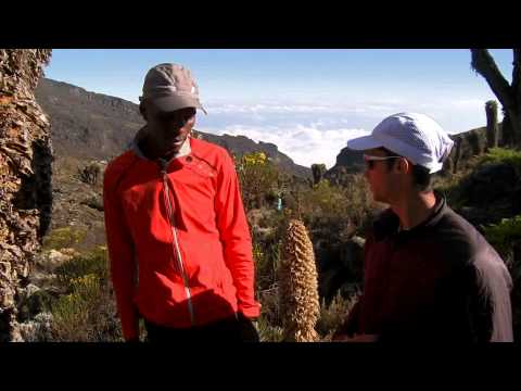 jornet - Kilian's Quest au sujet de l'ascension du Kilimandjaro en courant par Kilian Jornet.