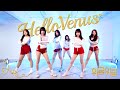 HELLOVENUS - WiggleWiggle Dance Cover By IAM