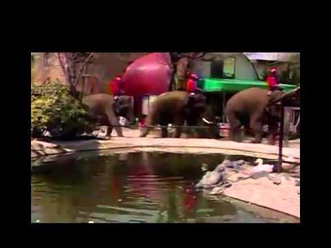 how to react earthquake