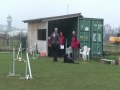 Chilli con Cane Agility