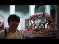 videos de Leyenda MUSEO HISTORIA NATURAL