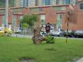 videos de parkour guayabal