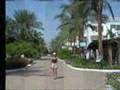 EGITTO - SHARM EL SHEIKH - IL CAIRO - EGYPT - VACANZE